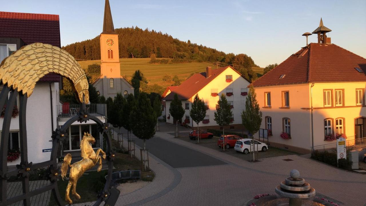 Hotel Roessle Furstenberg  Exteriér fotografie
