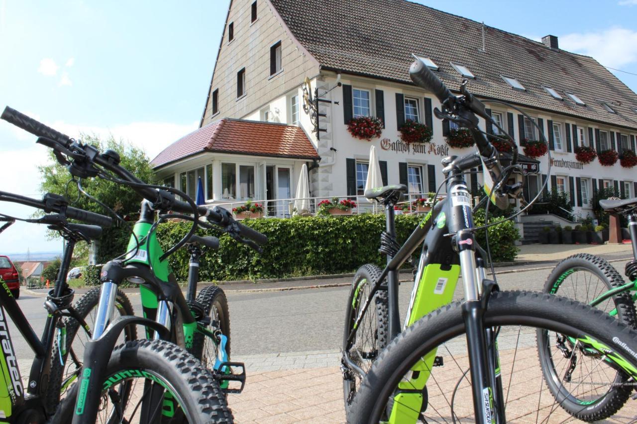 Hotel Roessle Furstenberg  Exteriér fotografie